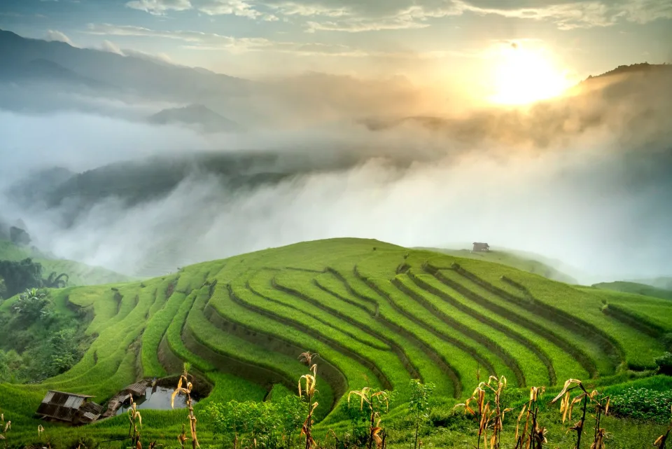 Kho gạo của Hồ Thị Liên